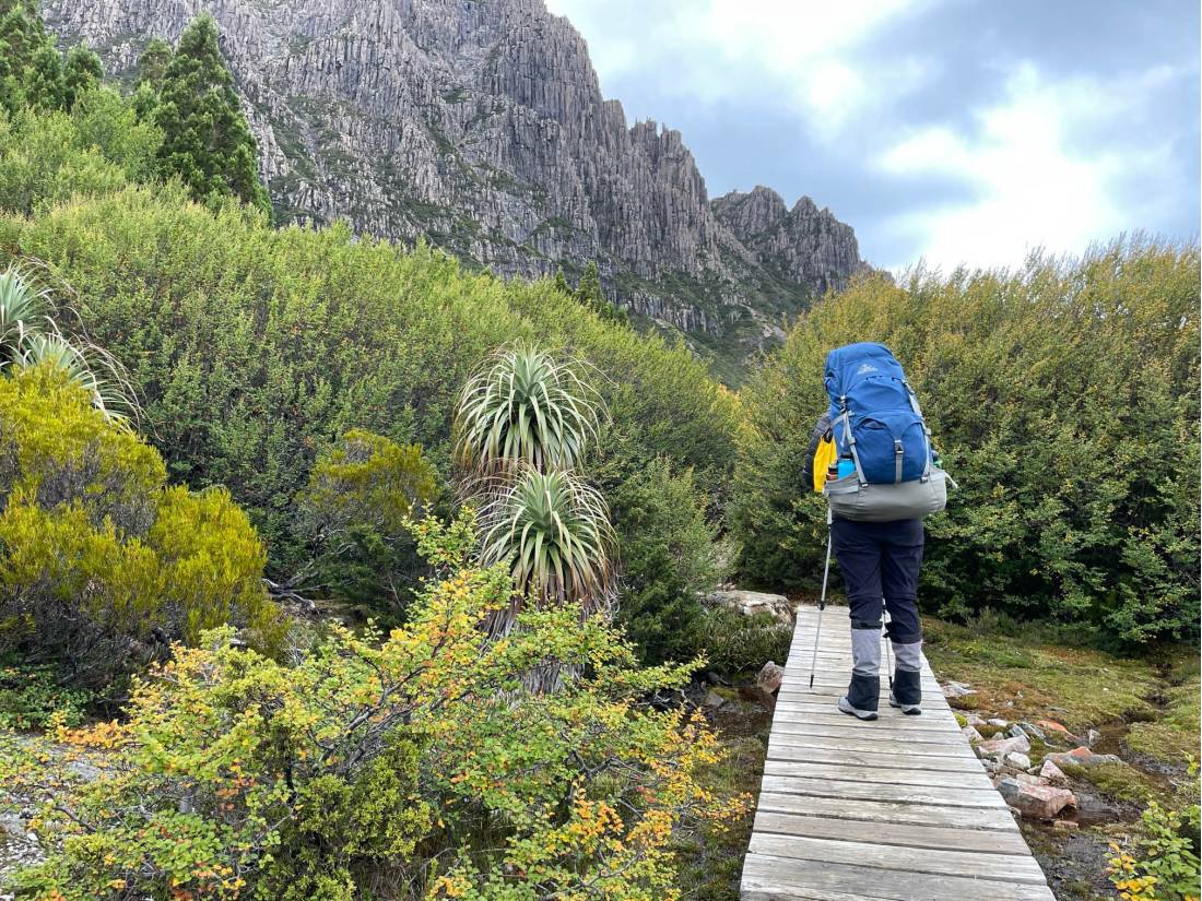 Hiking towards camp on day 1 of the Overland Track |  <i>Brad Atwal</i>