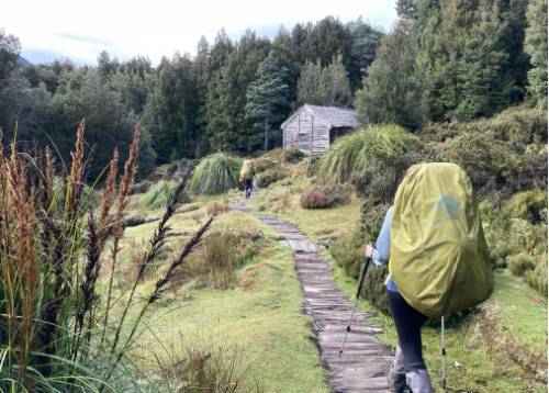 The Overland Track vs Walls of Jerusalem Circuit | Tasmanian Expe