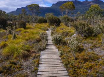 Overland Track Guided Walking Tour | Trek Tasmania's Overland Track