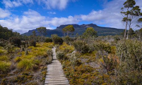 Tasmania's Best Hiking Trails