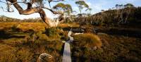 The famous boardwalks on the Overland Track | Matt Horspool