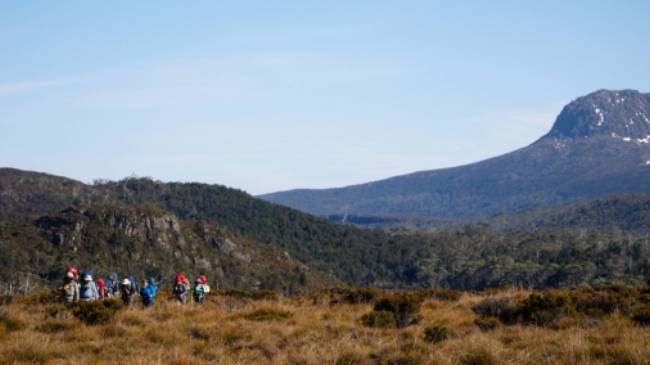 Trekking Tasmania's Overland Track | Matt Horspool