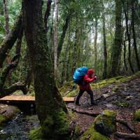 Trekking the legendary Overland Track, Tasmania | Matt Horspool