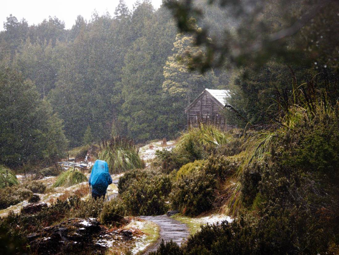 Light snow falls on the Overland Track |  Matt Horspool