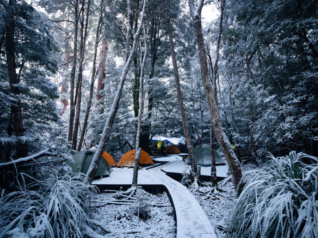 Winter camp on the Overland Track |  Matt Horspool