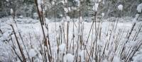 Experience the Overland Track during winter | Matt Horspool