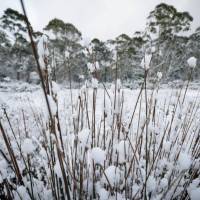 Experience the Overland Track during winter | Matt Horspool