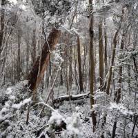 Experience the Overland Track during winter | Matt Horspool