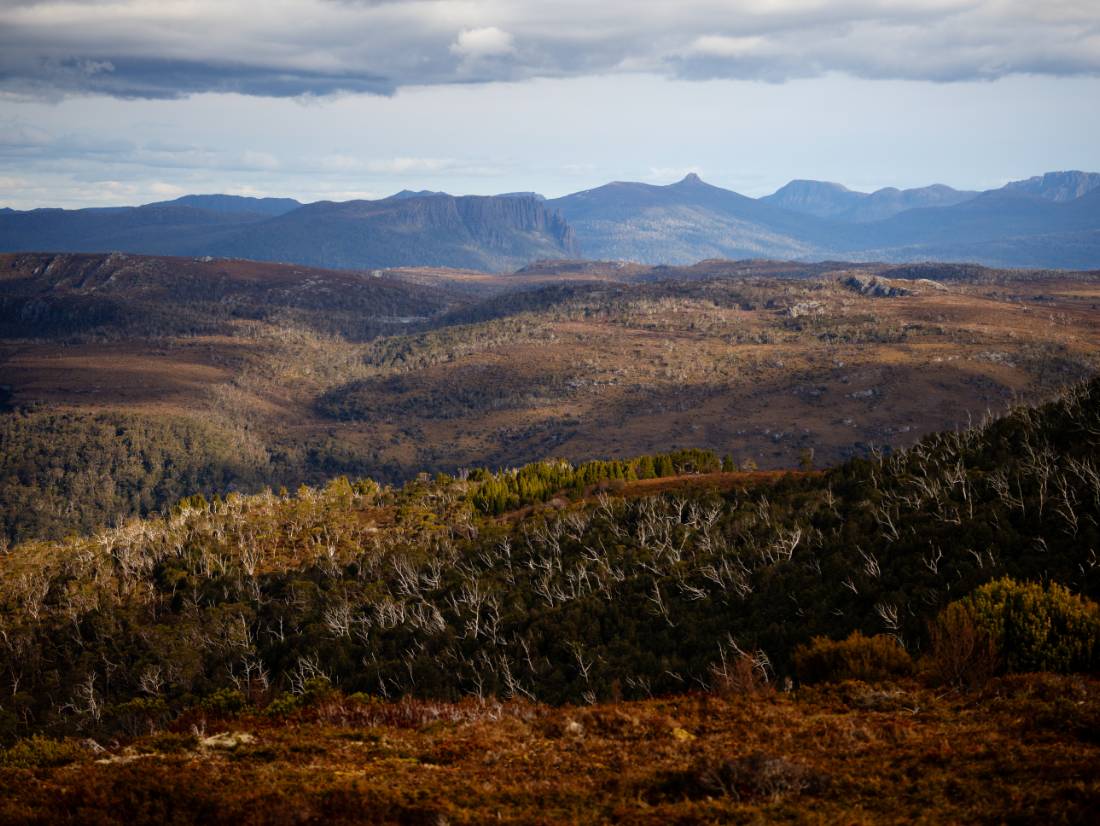 Discover the Overland Track's World Heritage wilderness |  Matt Horspool