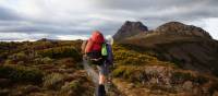 Trekking along Tasmania's Overland Track | Matt Horspool