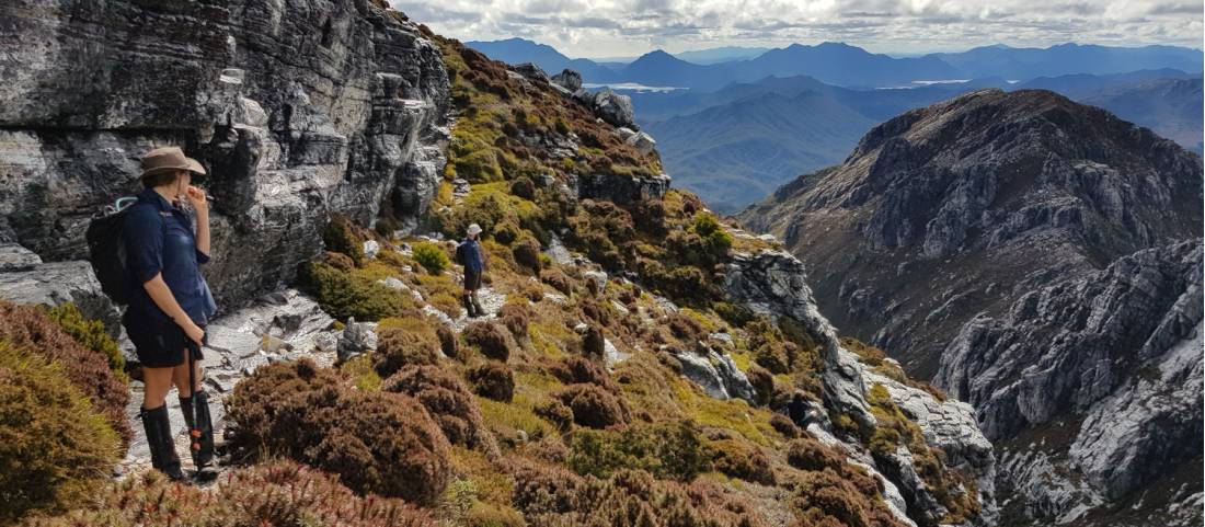 Hiking to Frenchmans Cap