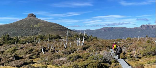 Enjoy the many side walks along the Overland Track, Pellion East in the distance | Brad Atwal