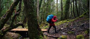 Trekking the legendary Overland Track, Tasmania | Matt Horspool