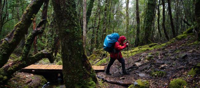 Trekking the legendary Overland Track, Tasmania | Matt Horspool